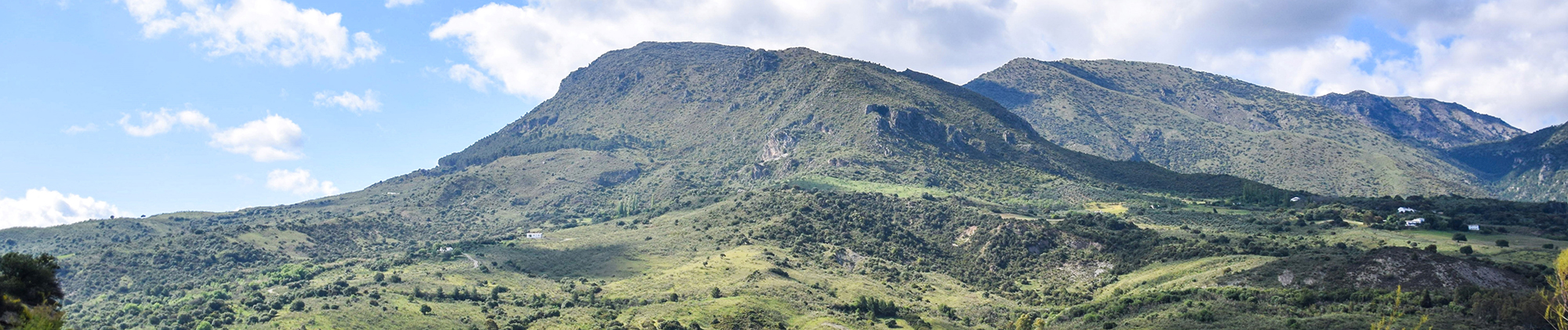 Olvera Panorama